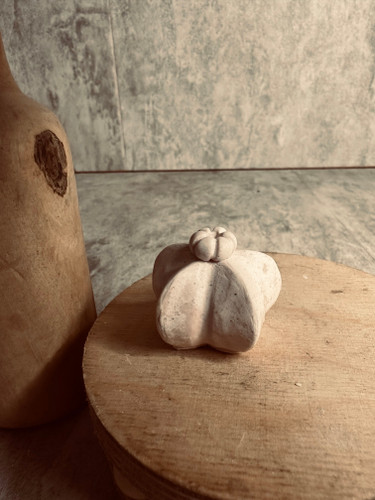 کاکتوس ۳/۵ در ۳ سانت
