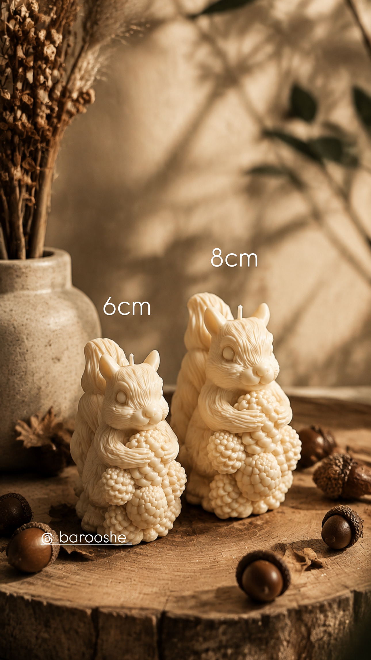 سنجاب بلوطی