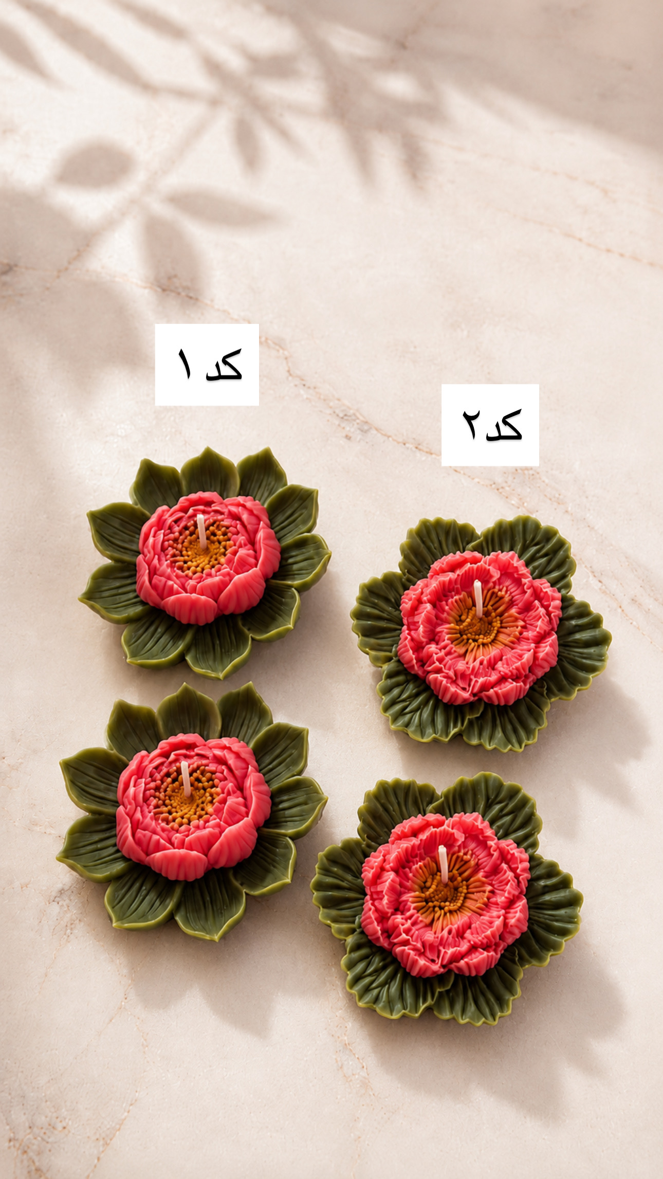گل نیلوفر آبی ۸ سانت